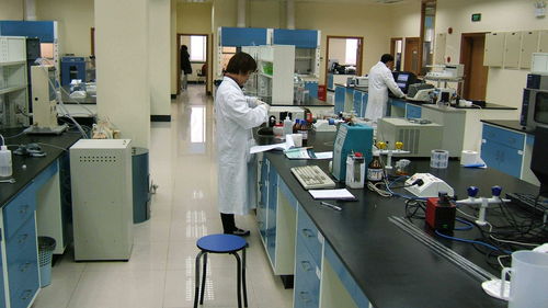 江苏世通仪器检测服务在饲料添加剂生产中的关键作用