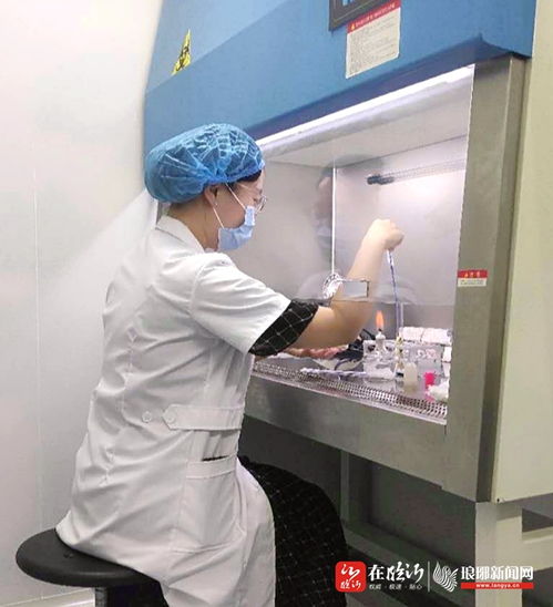 公益检测服务助力乡村振兴 临报优品联合中捷检测为农产品基地免费检测农残与饲料添加剂